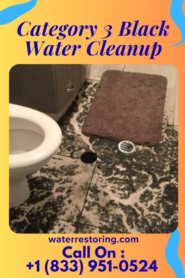 Category 3 Black Water Cleanup in Butler, PA