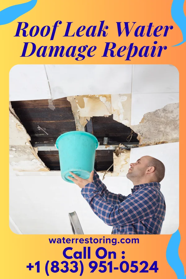 Roof Leak Water Damage Repair in Butler, PA