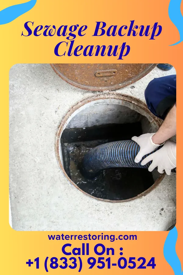 Sewage Backup Cleanup in Butler, PA