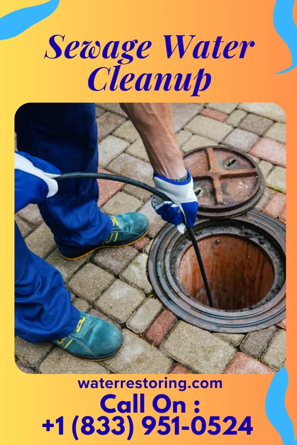 Sewage Water Cleanup in Butler, PA