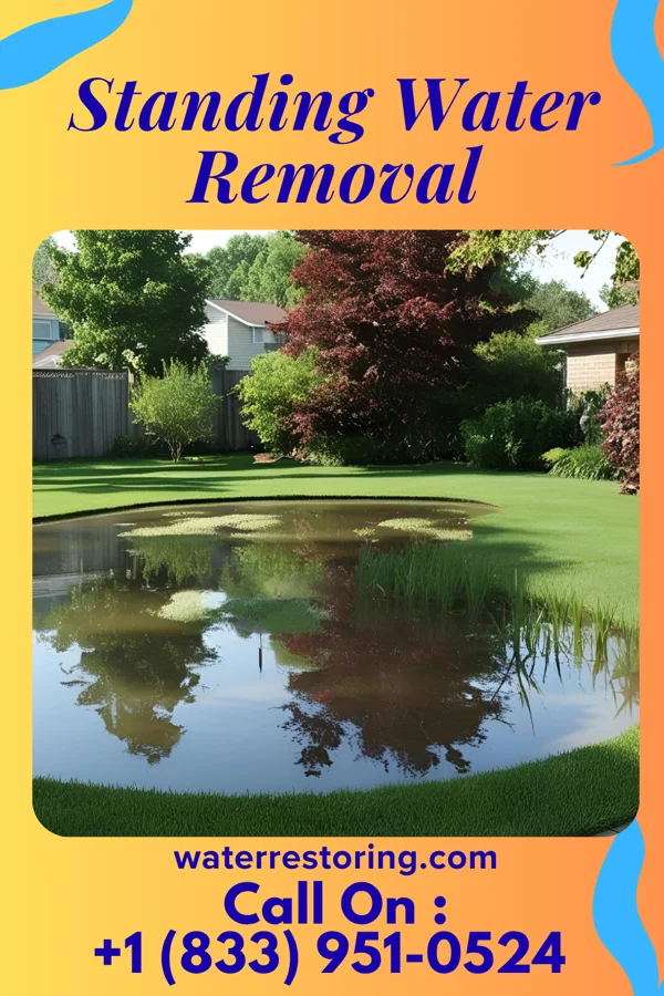 Standing Water Removal in Butler, PA